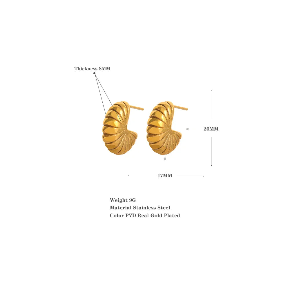 Snails Conch Charm Chunky Stud Earrings