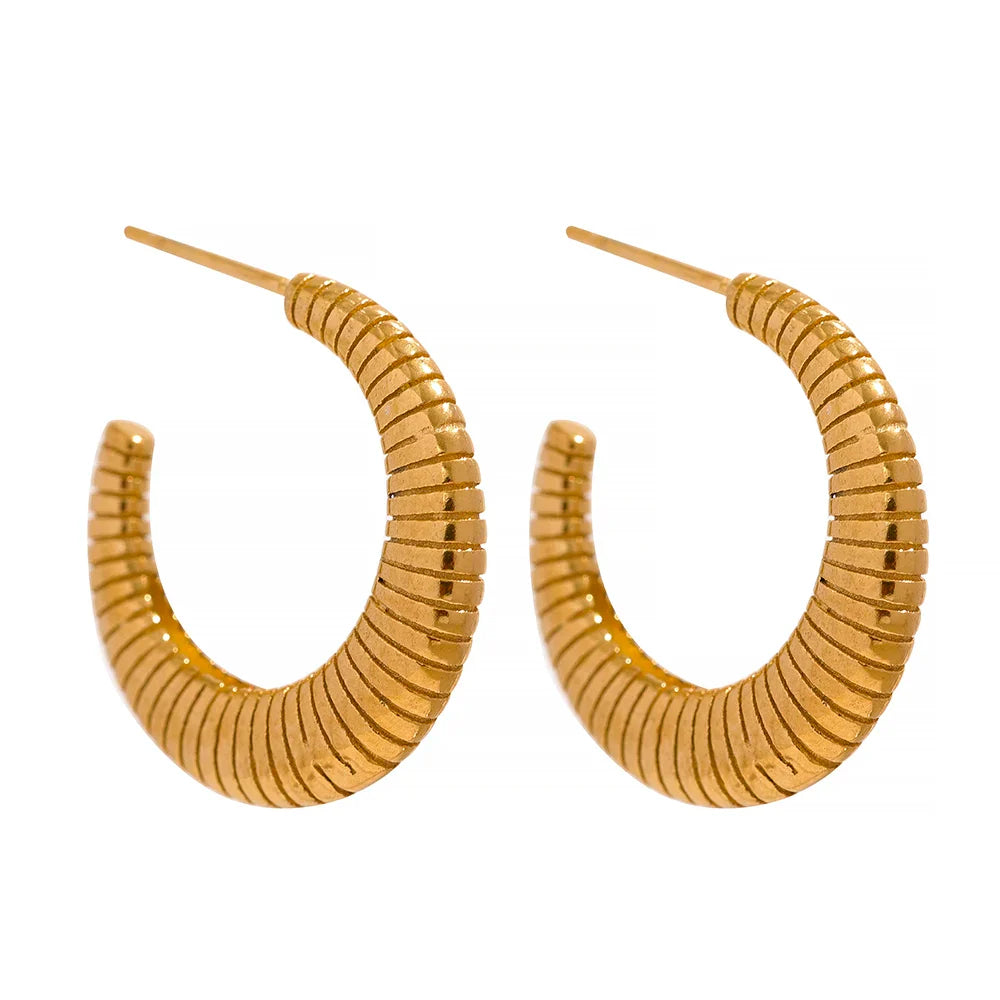Golden Hoop Earrings