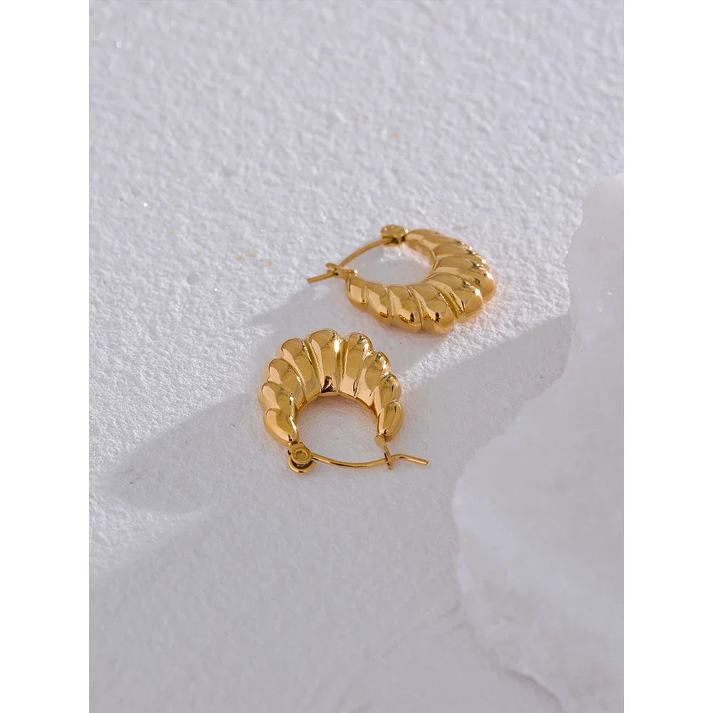 Twisted Hollow Hoop Earrings