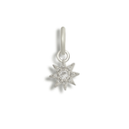 Mystery Bikini Charm