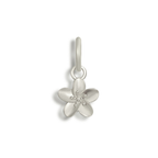 Hibiscus Bikini Charm