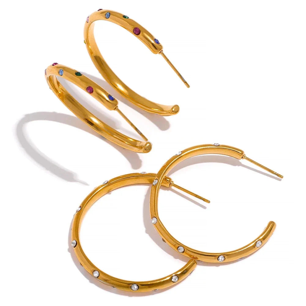 Big round earrings
