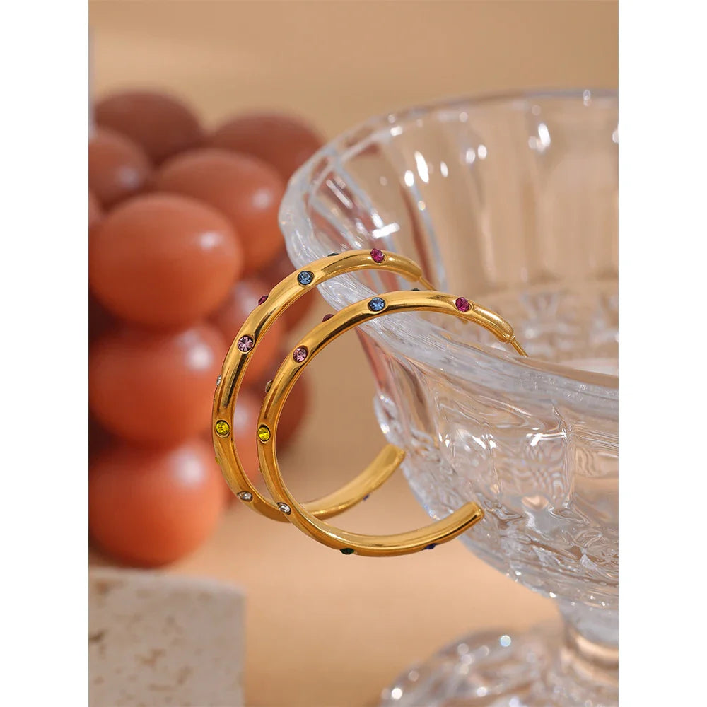 Big round earrings