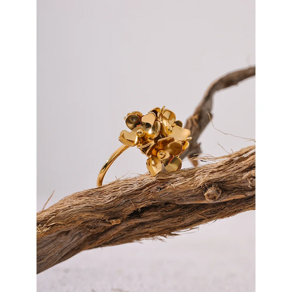 Cluster Ring