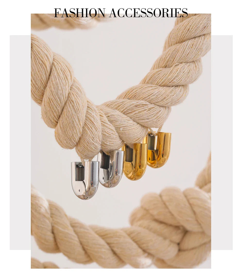 U Shaped earrings