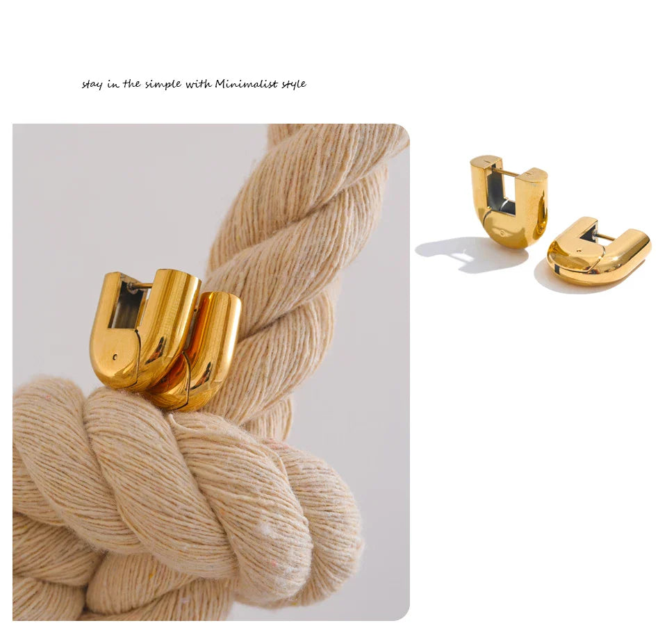 U Shaped earrings