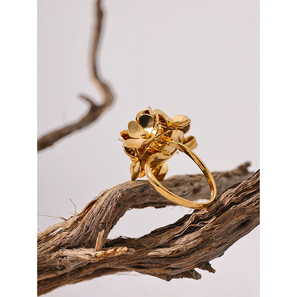 Cluster Ring