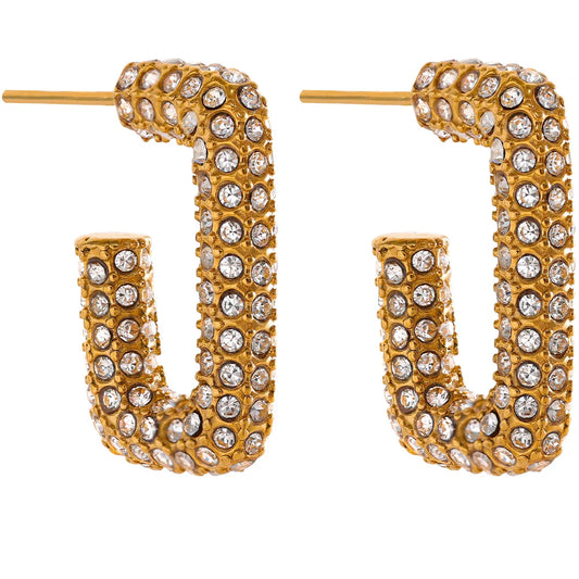 Micro Pave Zircon Earrings