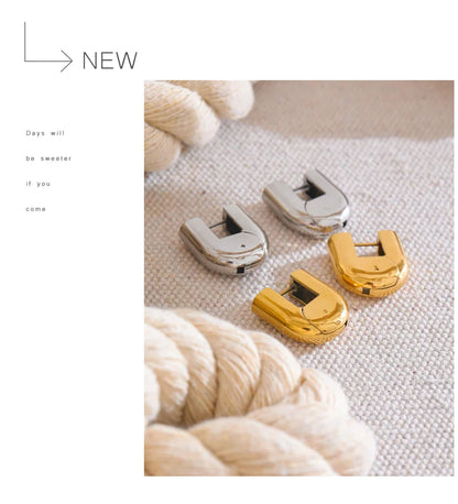 U Shaped earrings