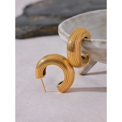 Small Hoop Earrings