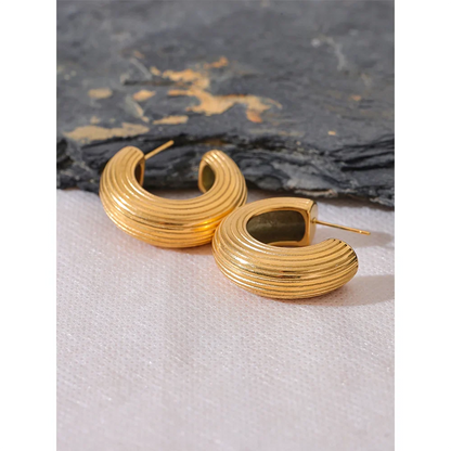 Small Hoop Earrings