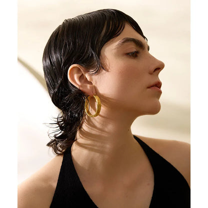 Big Hoop Earrings