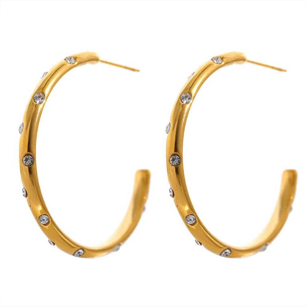 Big round earrings
