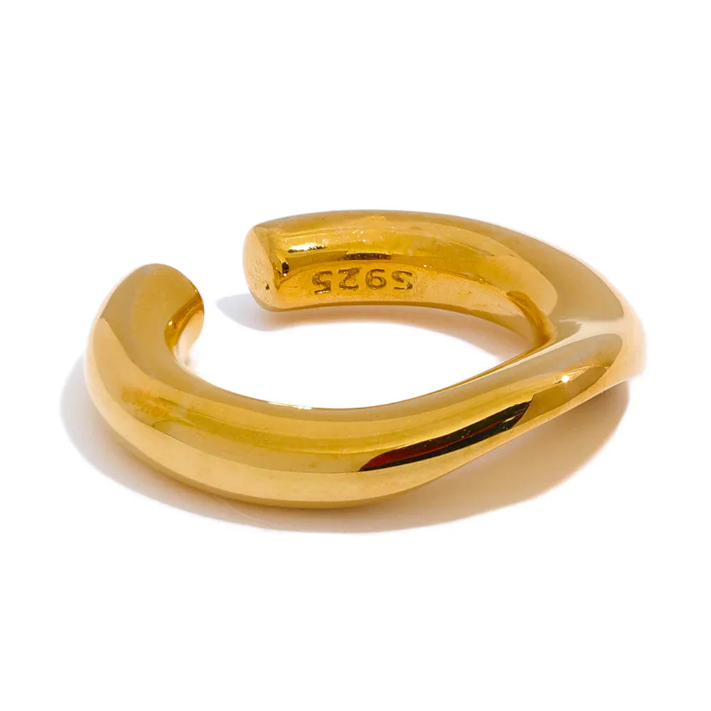 Chic 925 Silver Non-Piercing Ear Clip