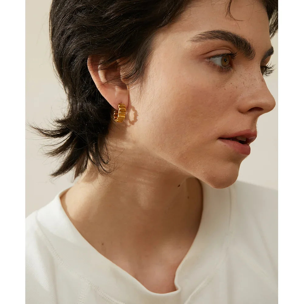 Twisted Hoop Earrings