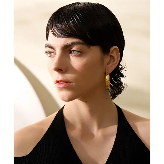 Big Hoop Earrings
